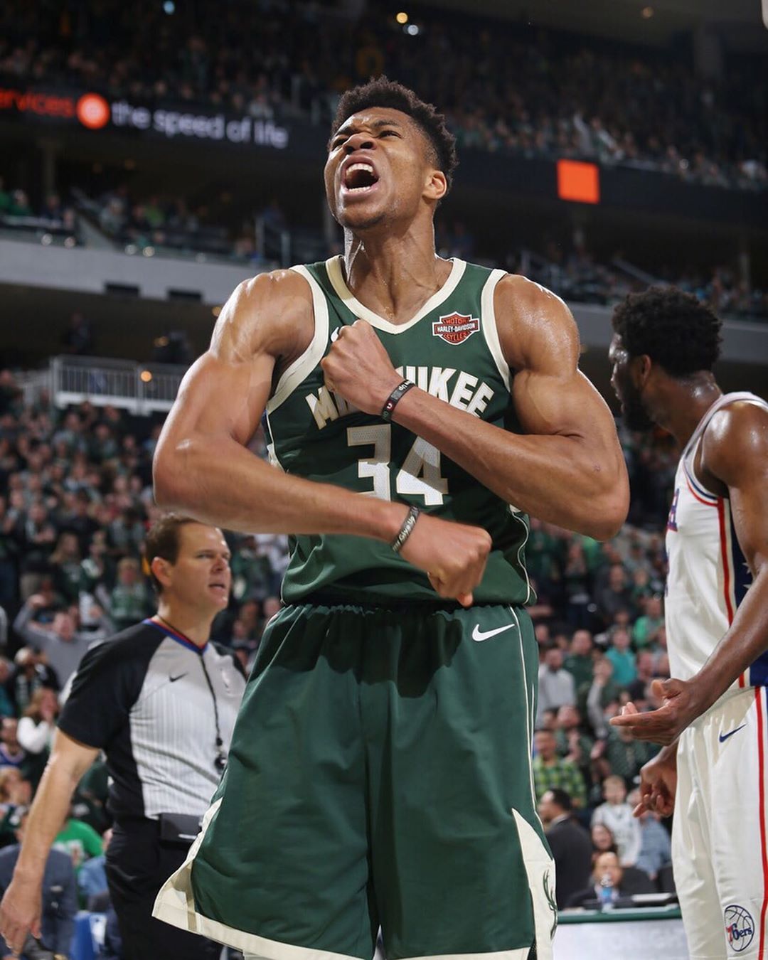 可预期的惊 可预期的惊